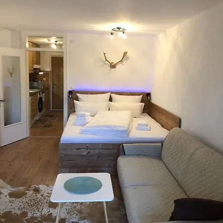 公寓 Haus Foehrenwald *